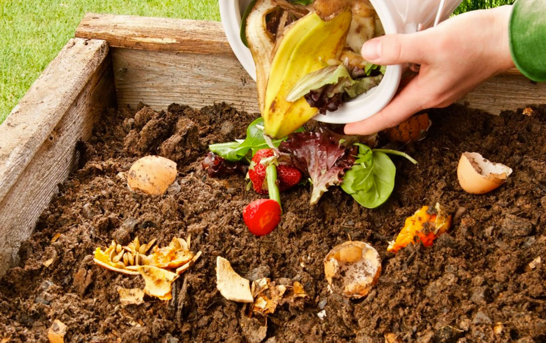 Compost Bin