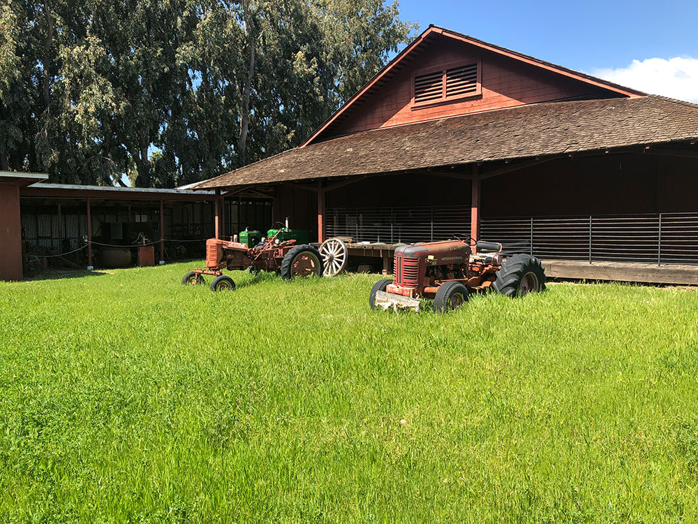 Ranch Yard